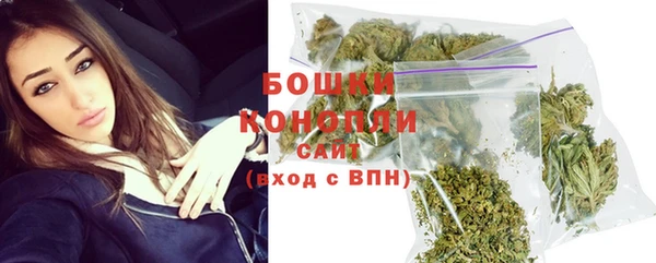 индика Лиски