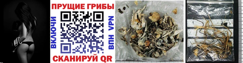 Псилоцибиновые грибы Magic Shrooms  Урус-Мартан 