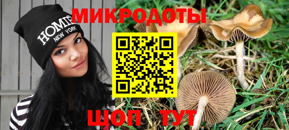 Псилоцибиновые грибы GOLDEN TEACHER  Урус-Мартан  как найти закладки  Галлюциногенные грибы прущие грибы 